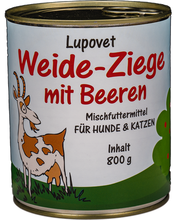 Pure Weide-Ziege mit Beeren