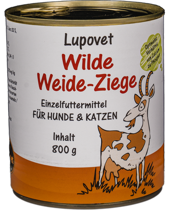 Wilde Weide-Ziege